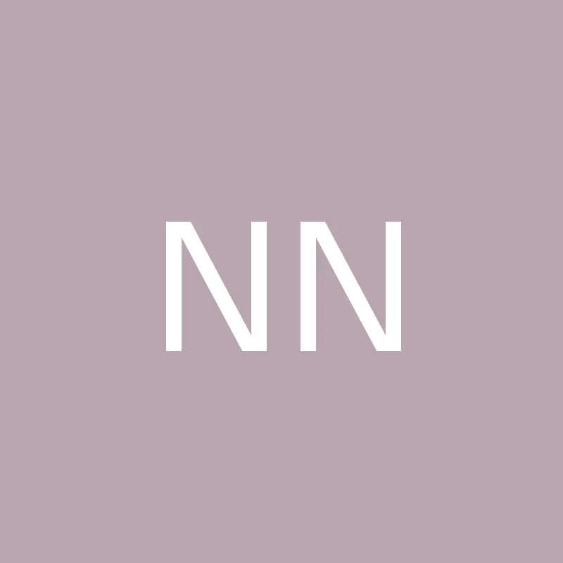 Nilgiri Naturals steel pressure cooker
