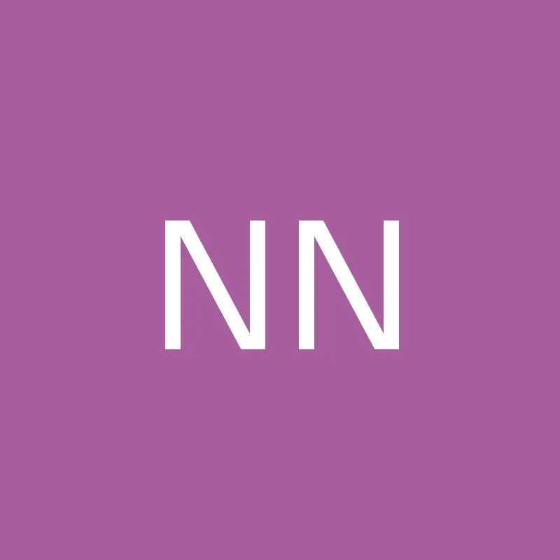Nilgiri Naturals steel lunch box
